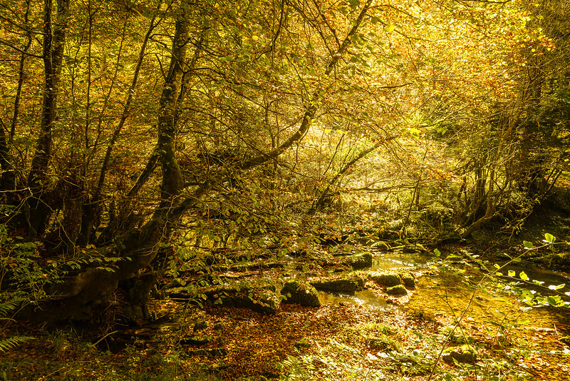 Rio Ertzilla - Que ver en Navarra