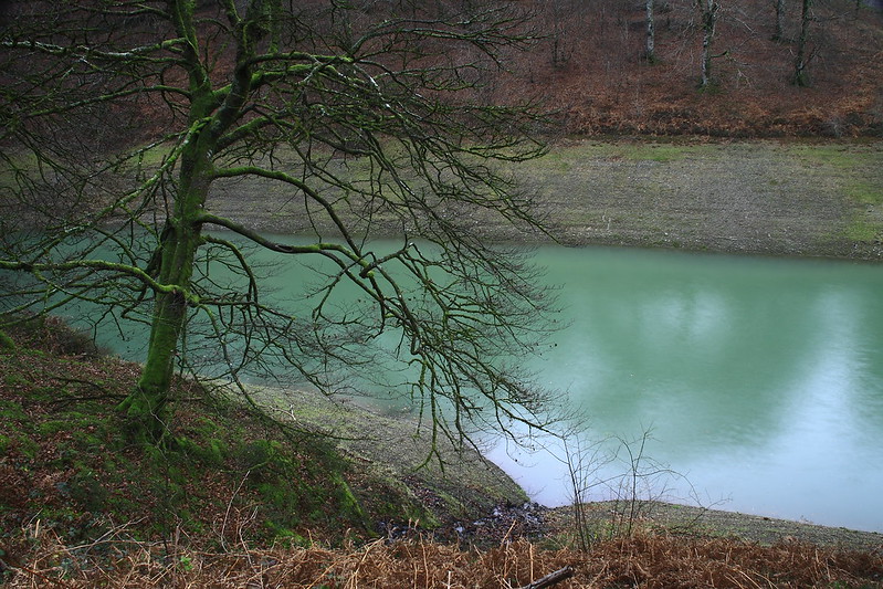 Embalse de Leurtza - Que ver en Navarra