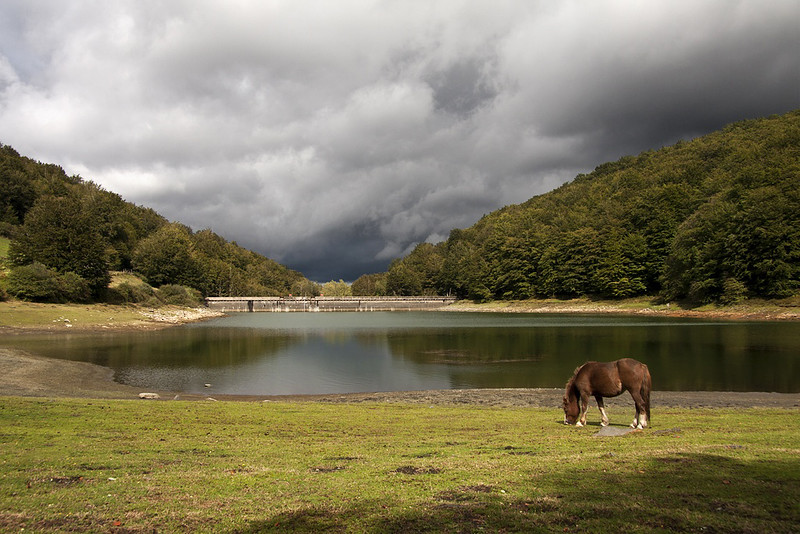 Caballo pastando en el embalse de Leurtza - Que ver en Navarra