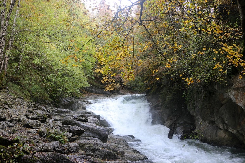 Selva de Irati en el Valle de Salazar - Que ver en Navarra